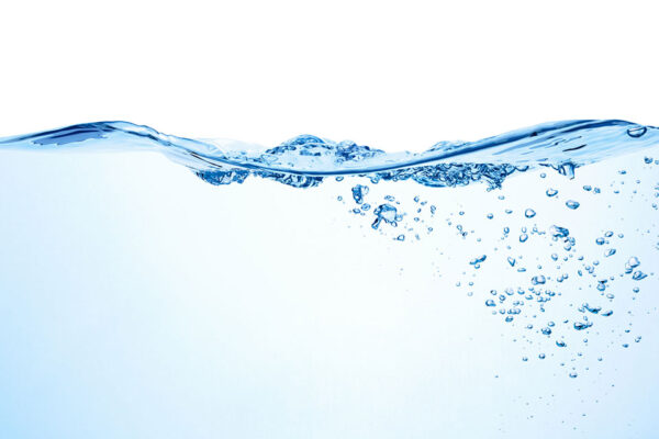 What’s-in-Your-Water